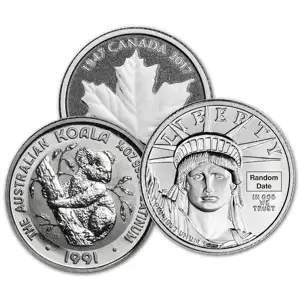 1/4 oz .9995 Platinum Coin Random Type