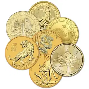 1/2 oz Gold Coin Misc Types