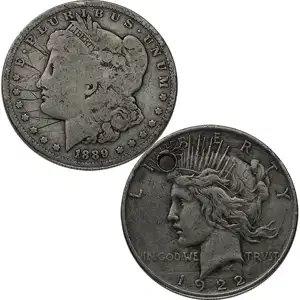 American Silver Dollar - Damaged