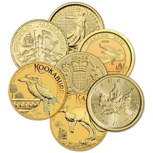 1/10 oz Gold Coin Misc Type