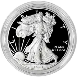 1 oz American Silver Eagle Proof Capsule Only
