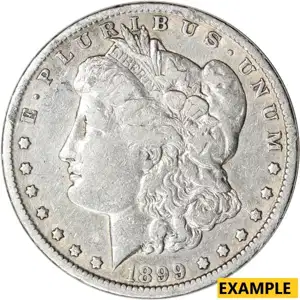 American Silver Morgan Dollar Very Good Details